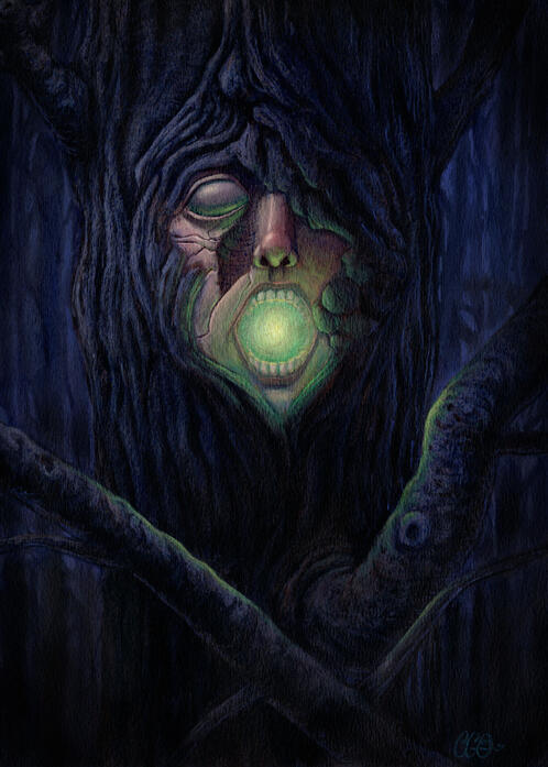 Illustration by Cédric Godin Olicard.